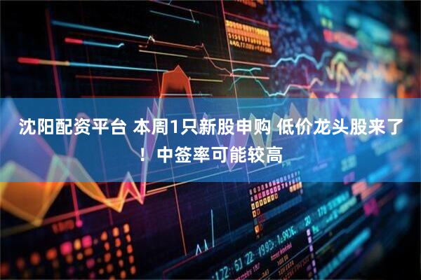 沈阳配资平台 本周1只新股申购 低价龙头股来了！中签率可能较高